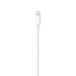 Apple USB-C to Lightning Cable (1m)