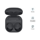 Samsung Galaxy Buds 2 Pro Graphite